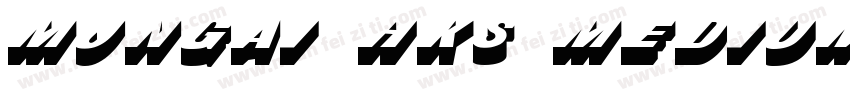 MJNgai HKS Medium R字体转换
